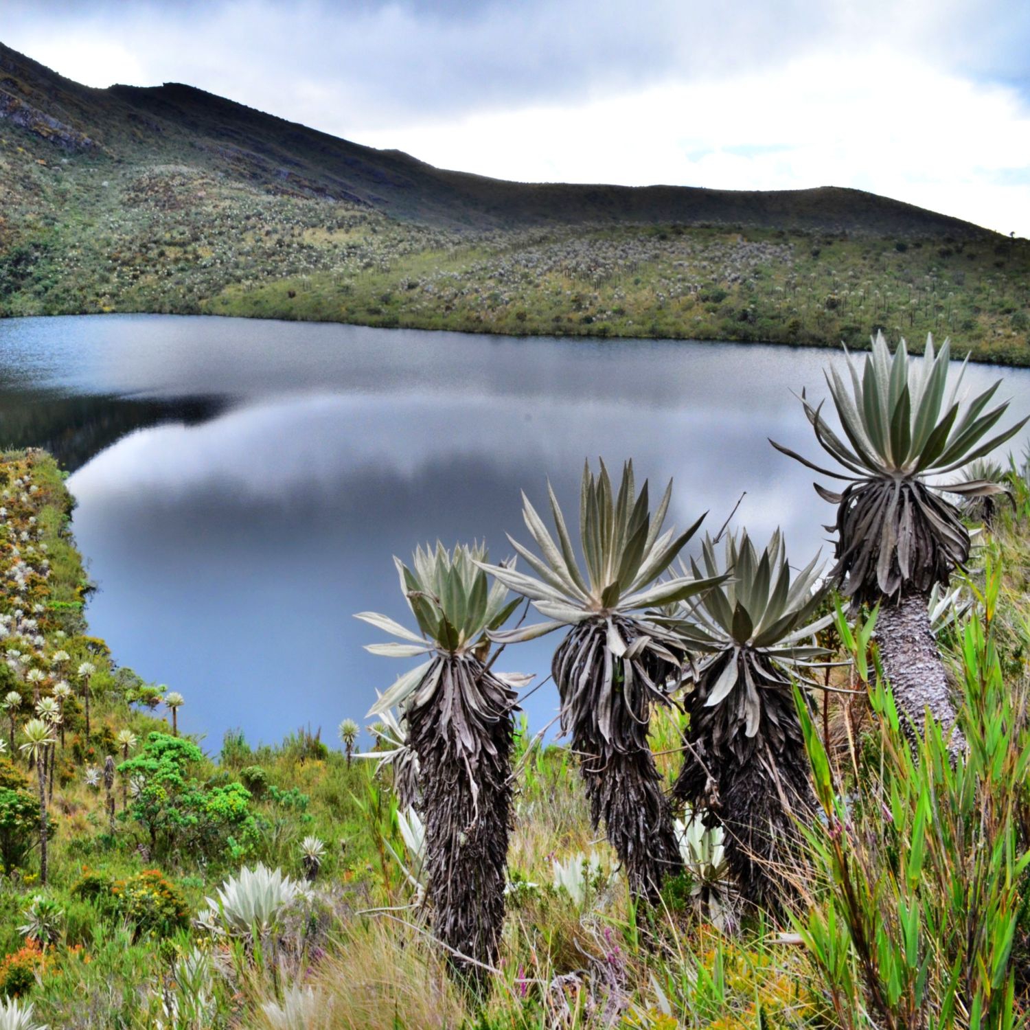 Lagunas de Siecha