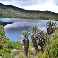 Lagunas de Siecha